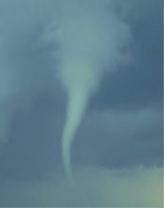 421c425916_2652732_o2.jpg